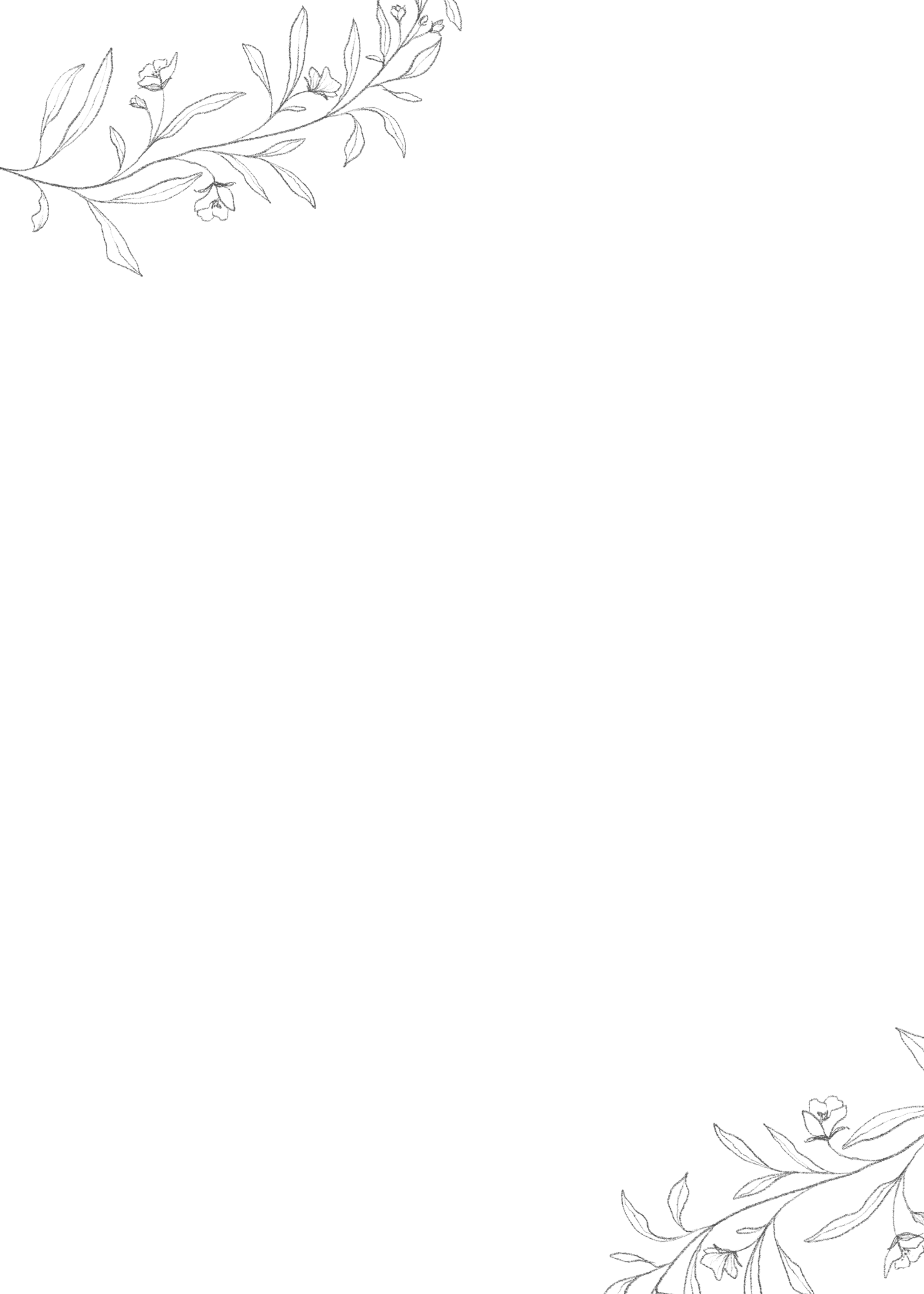 Stone Minimal matrimonial biodata template